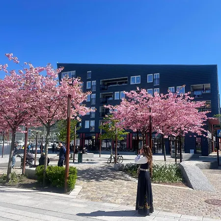 Apartman Sentrumsnaer Bergen