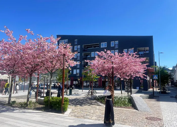 Apartman Sentrumsnaer Bergen